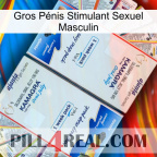 Gros Pénis Stimulant Sexuel Masculin kamagra1